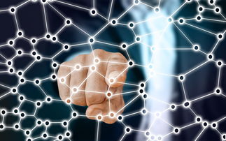 乐鱼体育在线下载-中国足球青训梯队人员年龄层结构，足球青训年龄段